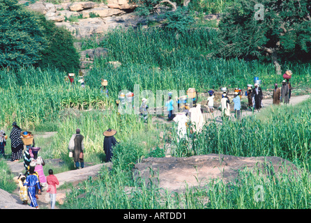 Dogon-Frauen auf dem Weg zum Markt Dogon Frauen Auf Dem Weg Zum Markt Stockfoto