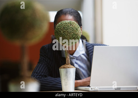 Geschäftsfrau, versteckt sich hinter Bonsai-Baum Stockfoto