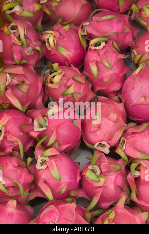 Roter Drache Obst Hylocereus Art Stockfoto