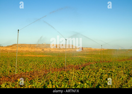 Bewässerung durch Sprinkler Salillas Huesca Aragon Spanien Stockfoto