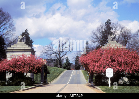 USA Arlington Virginia Arlington National Cemetery Eingang im Frühjahr Mit rosa blühenden Büschen Stockfoto
