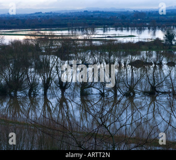 Fluß Parrett schlängelt sich durch überschwemmte Felder in der Nähe von Langport, Somerset Stockfoto