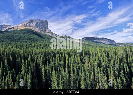 Roche Miette 2a Stockfoto