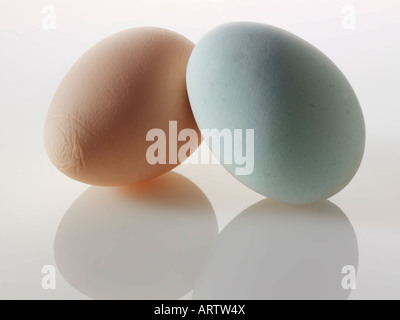 Alten Cotswold erscheinen Eiern auf weißem Hintergrund Stockfoto