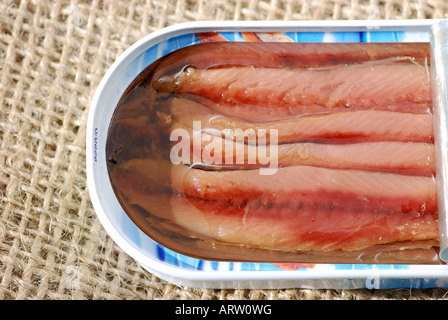Eine geöffnete Dose Sardellenfilets auf Sackleinen Stockfoto