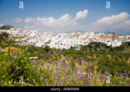 Alora Dorf Ansicht, Malaga, Costa del Sol, Andalusien, Spanien Stockfoto