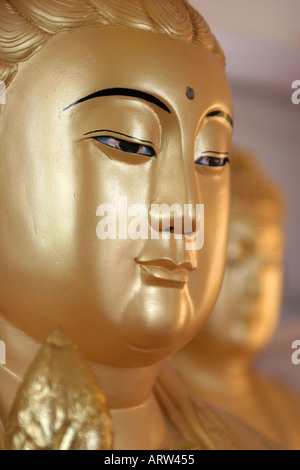 KEK Lok Si-Tempel Penang Malaysia Stockfoto