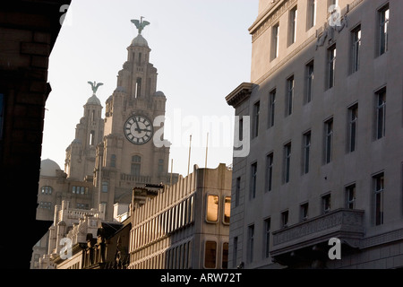 Liverpool Haus The Beatles THE berühmten Leber Gebäude ON THE MERSEY RIVER HARBOUR FRONT LIVERPOOL ENGLAND Stockfoto