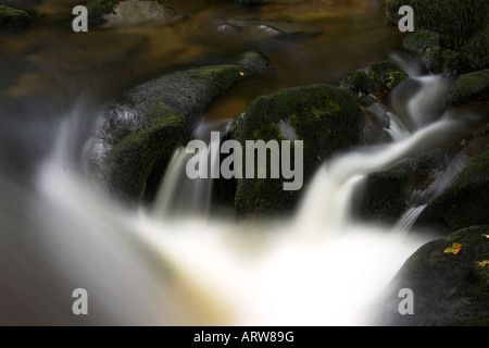 Wasserfälle am Fluss Wharfe im The Strid, North Yorkshire Stockfoto