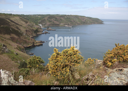 Suche entlang der nördlichen Küste von Jersey in Richtung Bouley Bay Kanalinseln UK Stockfoto