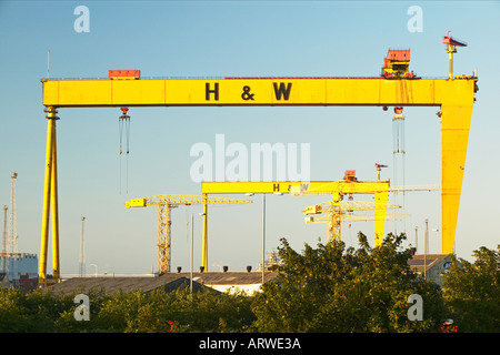 Harland Wolff Werft Krane Samson und Goliath, Belfast, Nordirland. Hervorstechendes Merkmal der Belfast-skyline Stockfoto