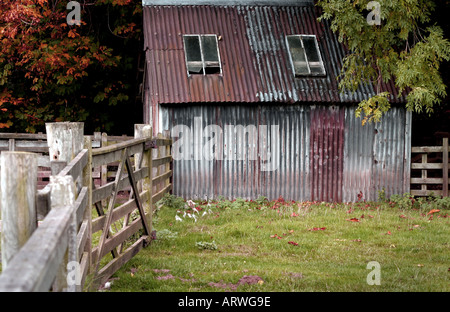 Alte verzinkte Stahl Hütte Schuppen eingebettet in Laubbäume in der Pentlands Schottland Anfang Herbst 2005 Stockfoto