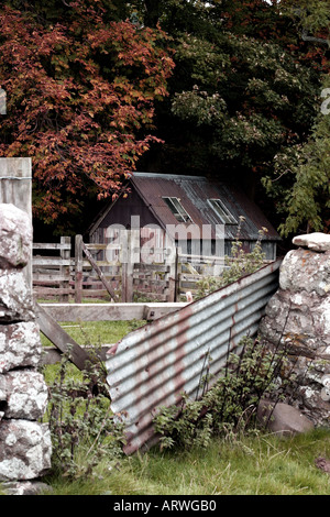 Alte verzinkte Stahl Hütte Schuppen eingebettet in Laubbäume in der Pentlands Schottland Anfang Herbst 2005 Stockfoto