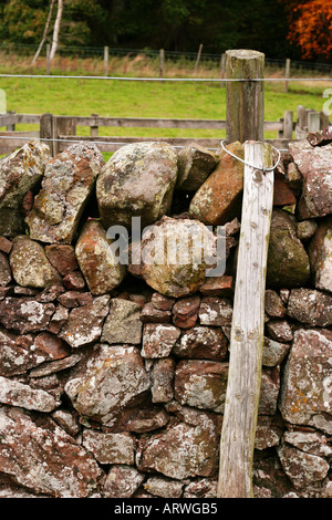 abstraktes Bild des alten Holz-Zaun mit einem gebogenen Abschnitt des Drahtes mit einem u-Nagel befestigt. Schottland 2005 Stockfoto