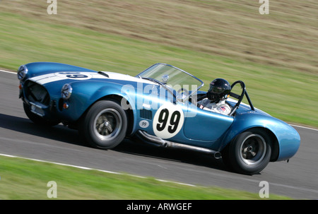 1965 Shelby Cobra 427 SC bei Goodwood Revival, Sussex, UK Stockfoto