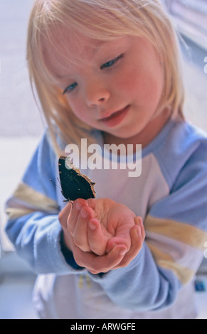 Megs und Schmetterling Stockfoto