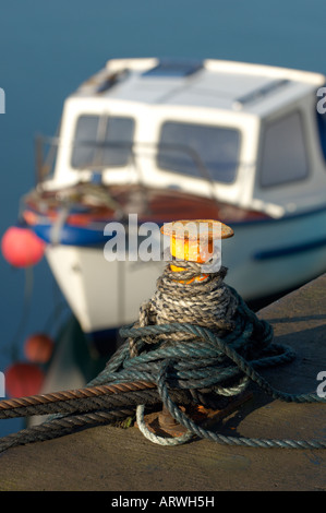 Einem festgemachten Ausflugsschiff im Hafen von Portavogie Stockfoto