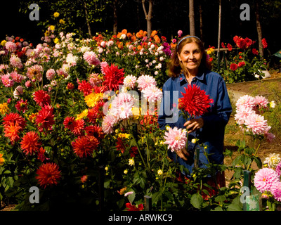 Stolze Gärtner Posen inmitten ihrer Fülle von Dahlia Blüten zeigen eine Vielzahl von Farben Stockfoto