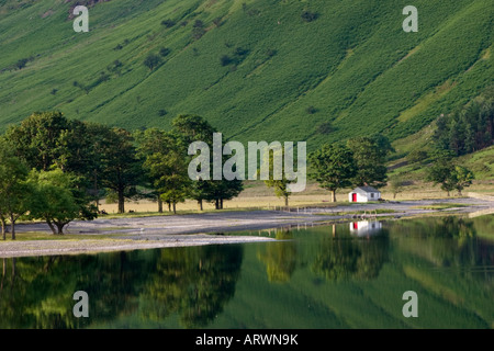 Linie der Buche Bäume am Ufer Buttermere in Borrowdale Seenplatte Cumbria Stockfoto