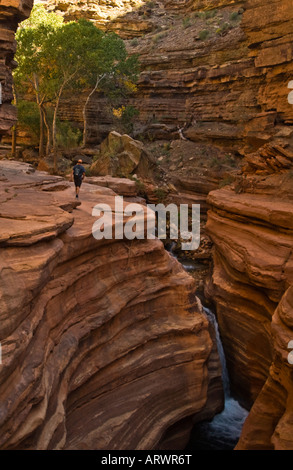 Wandern auf der Terrasse bis Deer Creek ein Seitencanyon auf dem Colorado River in Arizona Grand-Canyon-Nationalpark Stockfoto