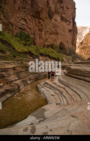 Wandern im Matkatamiba Canyon ein Seitencanyon auf dem Colorado River im Grand Canyon National Park Arizona Stockfoto