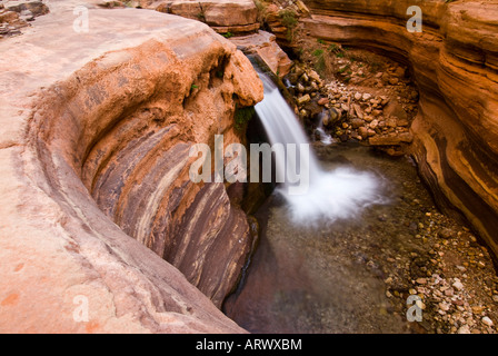 Der Patio, Deer Creek ein Seitencanyon Wandern im Grand Canyon National Park Arizona Stockfoto