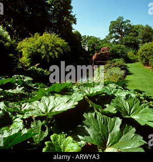 Cheshire Altrincham Dunham Massey Hall Gärten Stockfoto