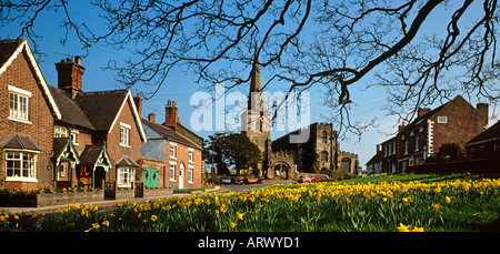 Cheshire Astbury in der Nähe von Congleton Narzissen auf dem Dorfplatz Stockfoto