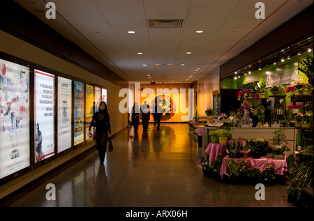 (Pfad) - Underground Shopping Complex - Toronto Dominion Centre - Toronto - Kanada Stockfoto