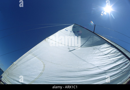 Segeln mit dem Wind und der Sonne Stockfoto