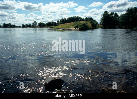 Ratzdorf, Gastvogelmanagement, Zusammenfluß von Oder ("Links") Und Neiße (Rechts), Deutsch-Polnische Grenze Stockfoto