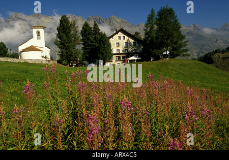 Schöne kleine weiße Kirche und Hotel Sonne umgeben von Blumenwiesen und Berge Tal der Fex in der Nähe von Sils, Schweiz Stockfoto