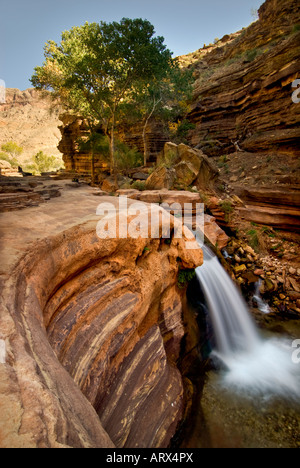 Der Patio, Deer Creek ein Seitencanyon Wandern im Grand Canyon National Park Arizona Stockfoto