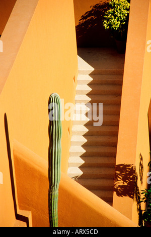 Mexiko Baja Sea of Cortez Cabo San Lucas bunte Illustration Treppe und Cactus Hotel Westin Regina Stockfoto