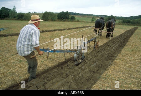 Jim Elliott Ploughing bei Beamish Open Air Museum in Chester-le-Street County Durham Stockfoto