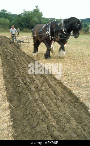 Jim Elliott Ploughing bei Beamish Open Air Museum in Chester-le-Street County Durham Stockfoto