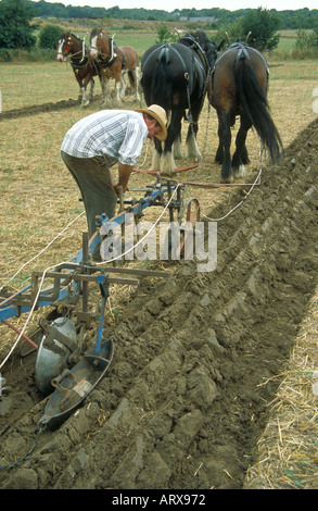 Jim Elliott Ploughing bei Beamish Open Air Museum in Chester-le-Street County Durham Stockfoto