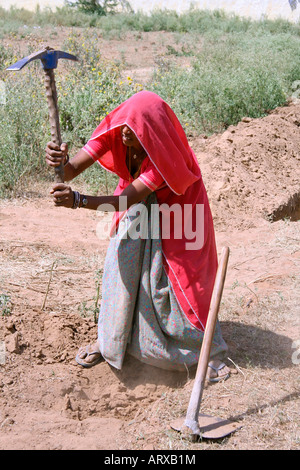 Frau arbeitet in den Bereichen Rajasthan Indien Stockfoto