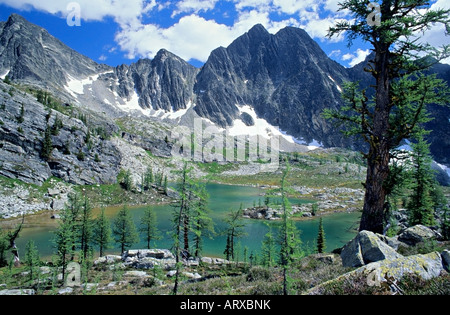 Tarn Monica Wiesen Purcell Mountains in British Columbia Kanada Stockfoto