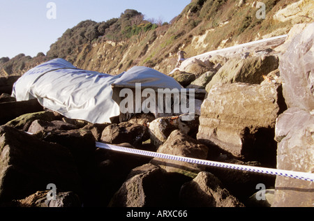 Steephill Cove Ventnor Isle Of Wight England Winter 2004 Stockfoto