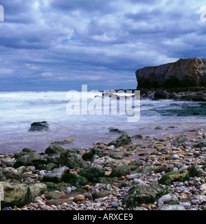 Magnesium-Kalkstein-Klippen, Marsden Bucht, in der Nähe von South Shields, Tyne and Wear, England, UK. Stockfoto