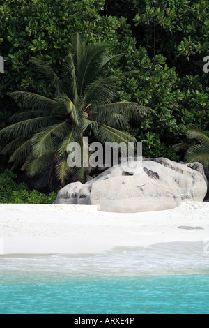 bekanntesten und schönsten weißen Sandstrand von petite Anse auf La Digue eines der Seychellen-Insel Stockfoto