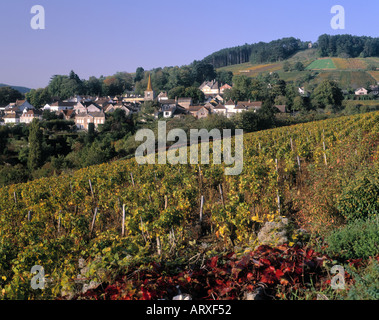 Pernand Vergelesses Nuits St Georges Bourgogne-Franche-Comte Frankreich Stockfoto