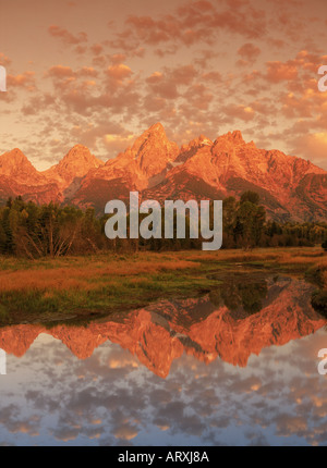 Mount Moran und Teton Range reflektiert Teiche bei Oxbow entlang Snake River bei Sonnenaufgang in der Nähe von Jackson, Wyoming Stockfoto