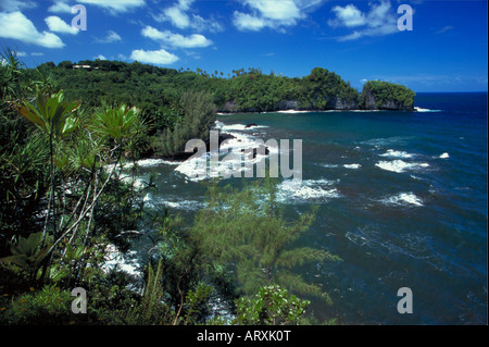 Onomea Bay, tropischen botanischen Gärten, Hilo, Big Island Stockfoto