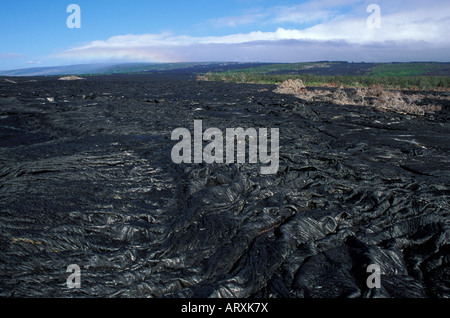 Lava-Felder, Hawaii Volcanoes National Park, Big Island Stockfoto