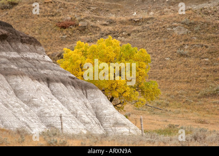 Herbstfarben im Big Muddy Tal im malerischen südlichen Saskatchewan Stockfoto