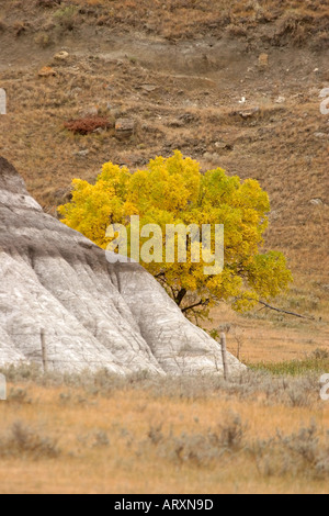 Herbstfarben im Big Muddy Tal im malerischen südlichen Saskatchewan Stockfoto