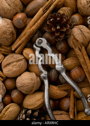 Nussmischung Kiefer Kegel Nussknackern und Zimt Federkiele Stockfoto