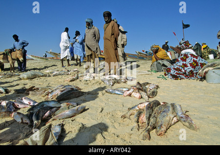 Fischmarkt am Plage de Peche, Nouakchott, Mauretanien Stockfoto